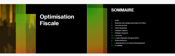 guide sur les optimisations fiscales