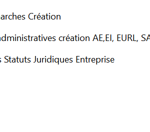 Kit statuts juridiques: dossier avec guide et modèle de statut juridique pour créer son entreprise