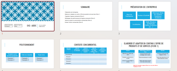 Pack Complet E41 et E42- DRCV et ADOC - BTS MCO – Image 2